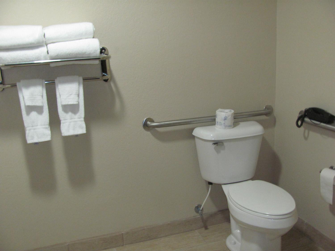 Bathroom 4, Cobblestone Inn & Suites - Fort Dodge, Webster
