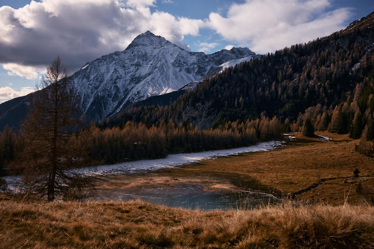 Others 5, Stelza Nature Chalet, Bolzano