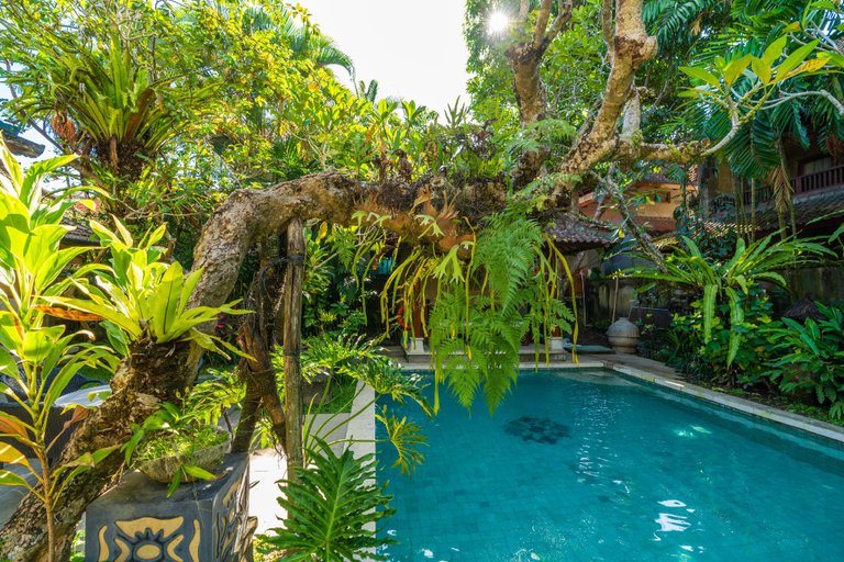 Others 5, The Pause Inn - Soca 3, Gianyar