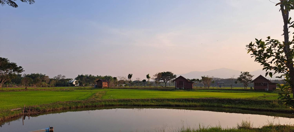Scenery 8