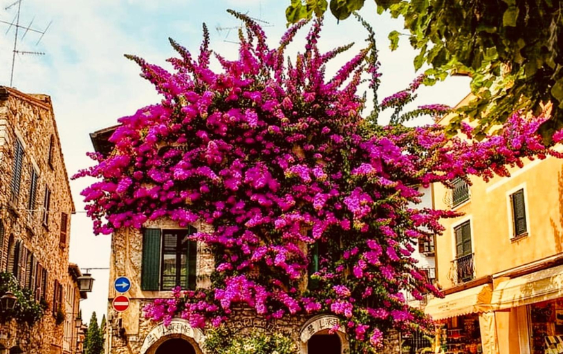 Exterior & Views 2, BOUTIQUE HOTEL SIRMIONE, Brescia
