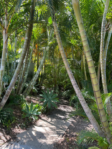 Others 5, Private Suite Nautilus Beach Front Resort, Coffs Harbour - Pt A
