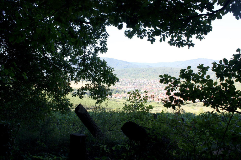 Others 4, Cocon d'Argile, Bas-Rhin