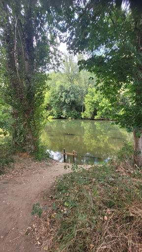 Others 5, Chambre d'hote, Au pays de cocagne !, Tarn
