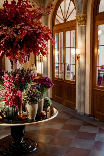 Public Area 4, Grand Hotel Les Trois Rois, Basel
