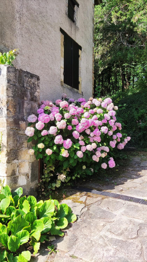 Exterior & Views 1, La Fontaine du Mas, Dordogne