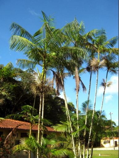 Others 5, Garden Hotel e Eventos, Benevides