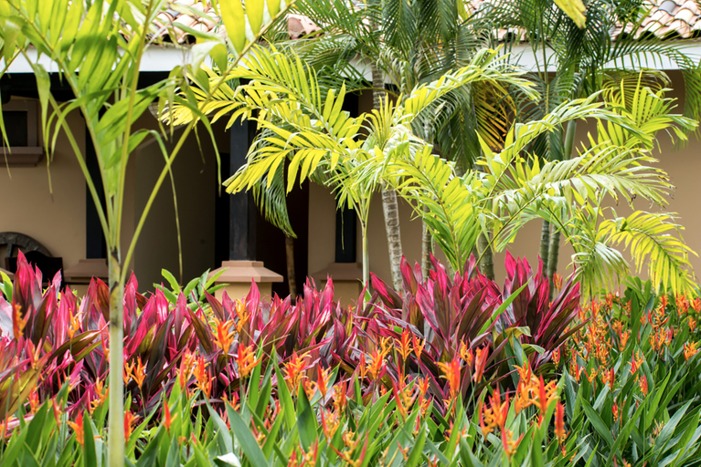 Public Area 4, Sunset Del Mar Resort, Parrita