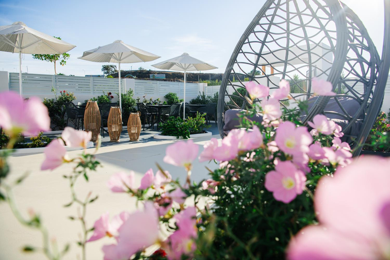 Food & Drinks 5, Santoterra Antigua Suites, South Aegean