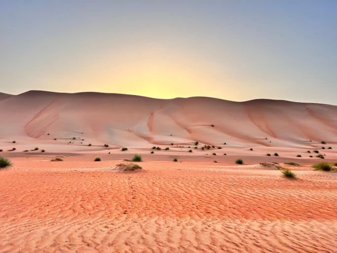 Others 3, Thousand Stars Desert Camp, Biddiya