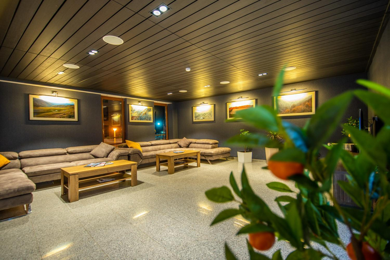 Public Area 4, Orbi Palace Hotel Official, Borjomi