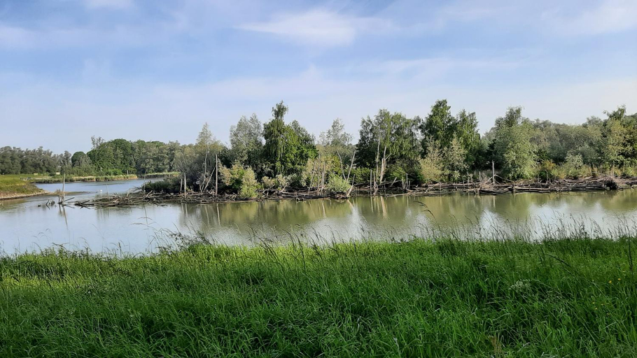 Others 3, BIESBOSCHBEST, Werkendam