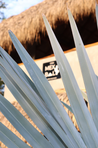 Others 5, Suite Mexi Casa Mexibali Troncones, La Union