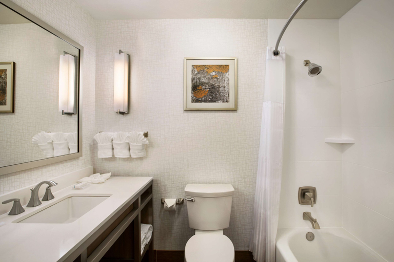 Bathroom 4, Hilton Garden Inn Flagstaff, Coconino