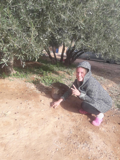 Others 3, ECOLODGE MISS ROSE CHEZ LA FAMILLE, Ouarzazate