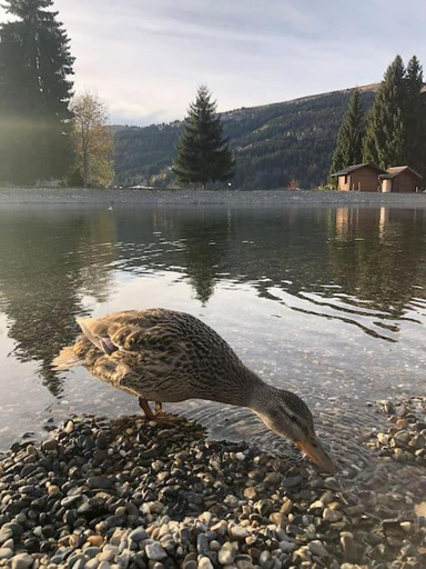 Facilities 5, Chalet Milou, Haute-Savoie