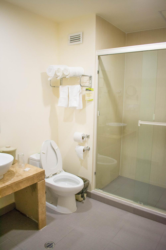 Bathroom 3, Los Herederos Hotel y Resto, Piedras Negras