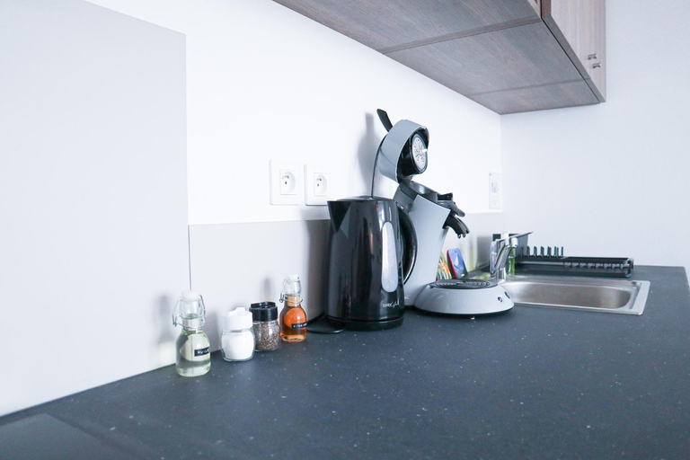 Facilities 3, LE PARADIS FISCAL, 5min Bale, parking prive, Haut-Rhin
