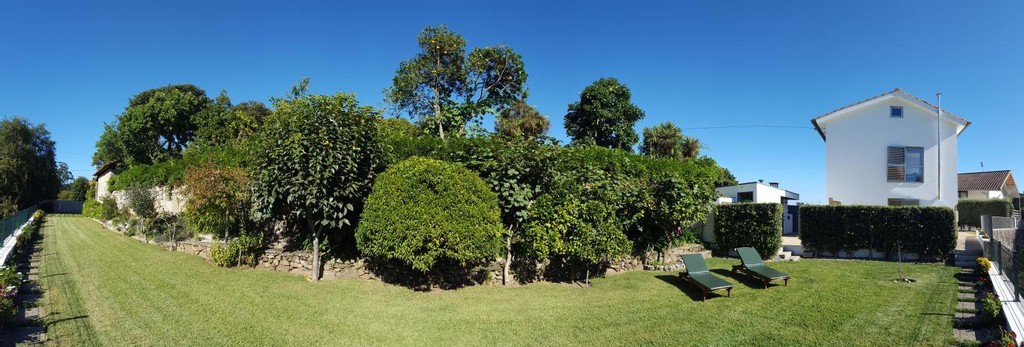 Others 2, Moleiro's Country House, Esposende