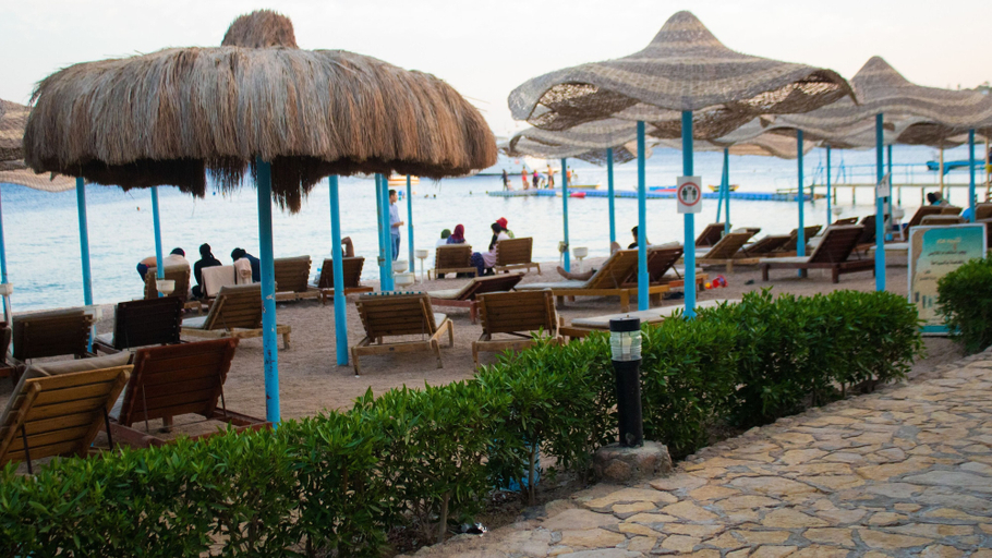 Food & Drinks 5, Sharks Bay Hotel & Padi Butterfly, Sharm el-Sheikh