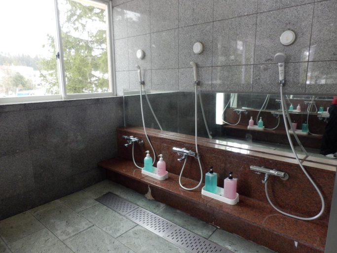 Bathroom 4, Rosenheim Hakuba, Hakuba