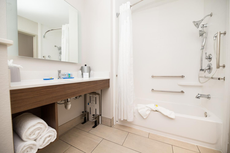 Bathroom, Holiday Inn Express Hotel & Suites Clinton By IHG, Hinds
