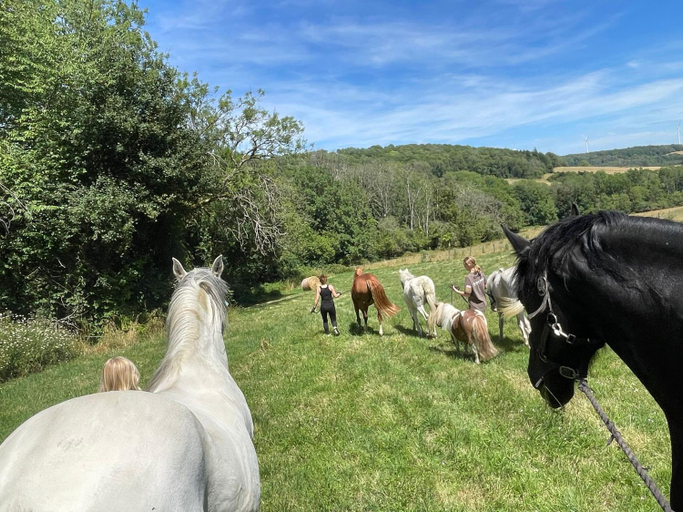 Others 4, Ferme de la Dhuys, Haute-Marne