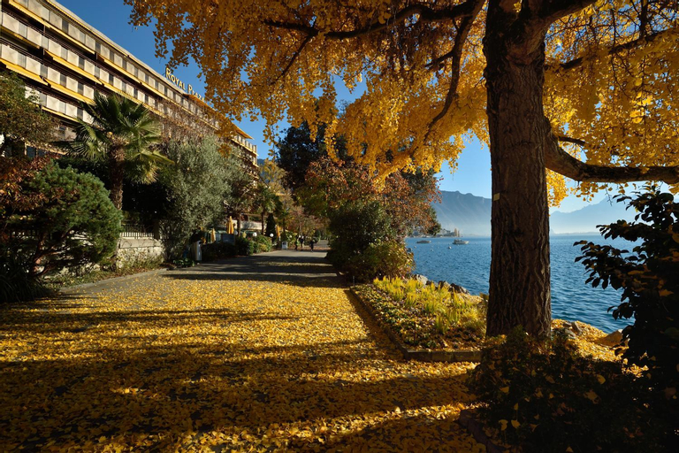 Scenery 1