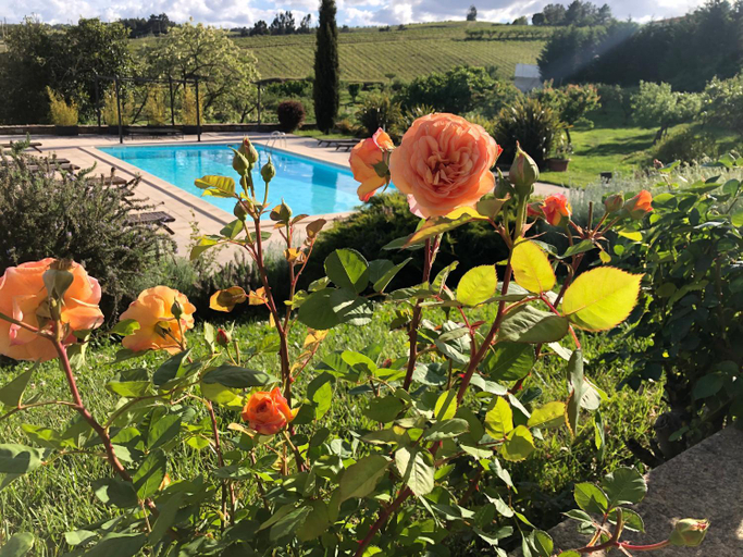 Sport & Beauty 4, Quinta da Pereira e Enricas, Vila Flor