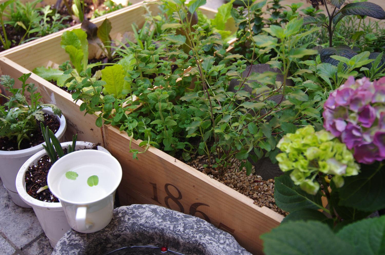 Food & Drinks 5, Nuhadang Hanok Guesthouse, Jongno