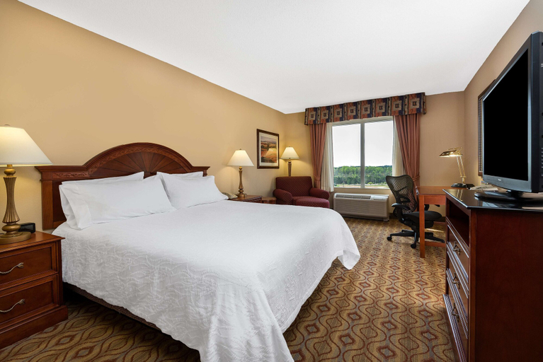 Bedroom 3, Hilton Garden Inn Florence, Florence