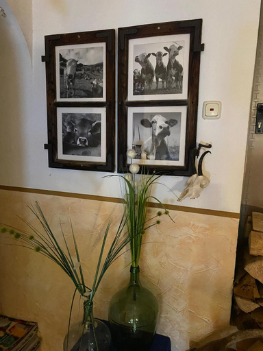 Others 3, Hansenbauernhof inkl. Chiemgaukarte, Traunstein