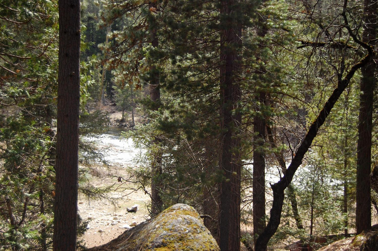 Others 2, (10N) Black Oak Lodge at The Redwoods In Yosemite, Mariposa
