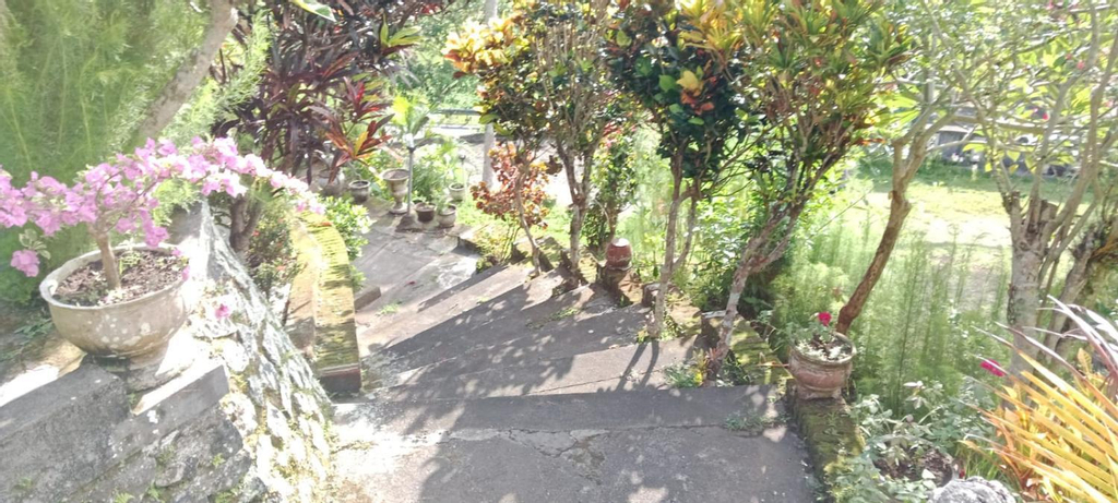 3, Puri prima bungalows, Karangasem