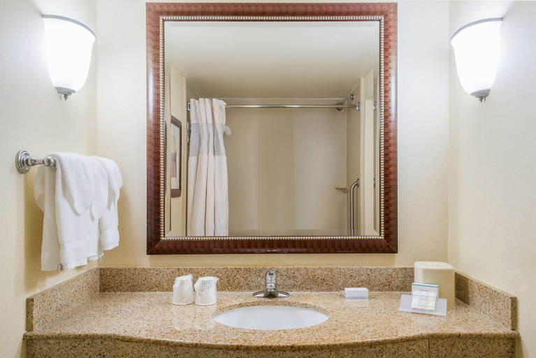 Bathroom 4, Hilton Garden Inn Florence, Florence