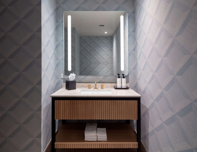 Bathroom 4, Tempo by Hilton New York Times Square, New York