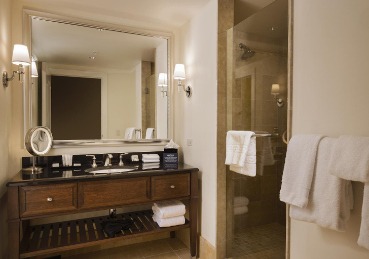 Bathroom 5, Edgewater Hotel, Dane