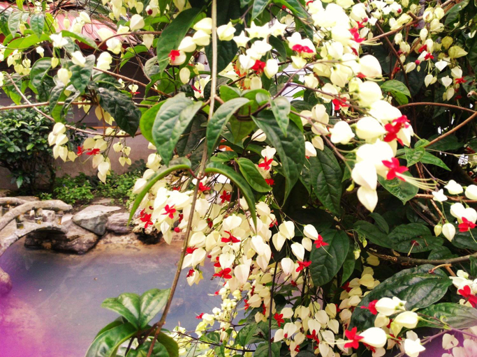 Others 5, Ruei Suei Hot Spring Hotel, Hualien