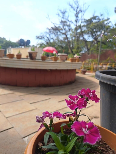 Others 2, Panorama Resort Managed by Yashoda Group, Satara
