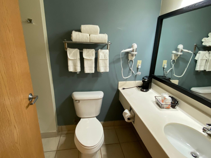 Bathroom 4, Sleep Inn & Suites Davenport - Quad Cities, Scott