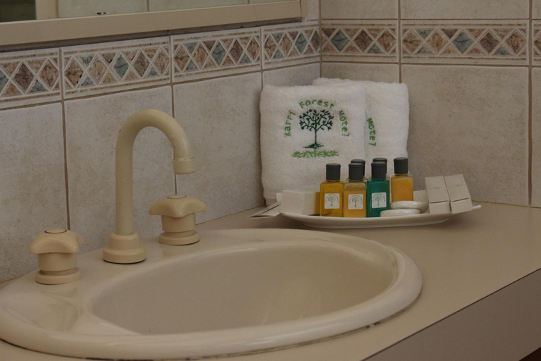 Bathroom 13