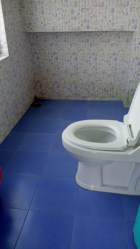 Bathroom, Hotel Happy Home, South Sikkim