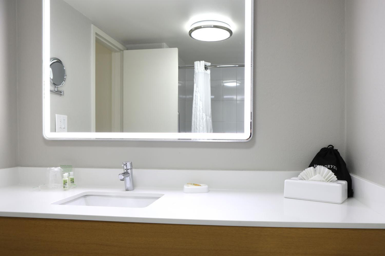 Bathroom 3, Holiday Inn O'Hare Area By IHG, Cook