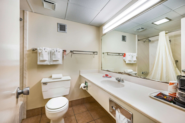 Bathroom, Econo Lodge Corinth, Alcorn