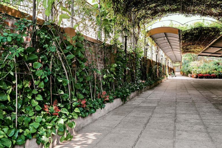 Others 5, Trang Thanh Luxury Apartment, Ngô Quyền