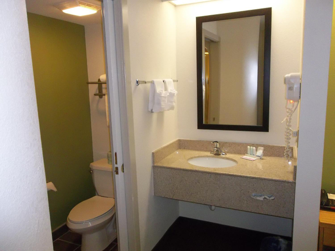 Bathroom 4, Sleep Inn Bryson City - Cherokee Area, Swain