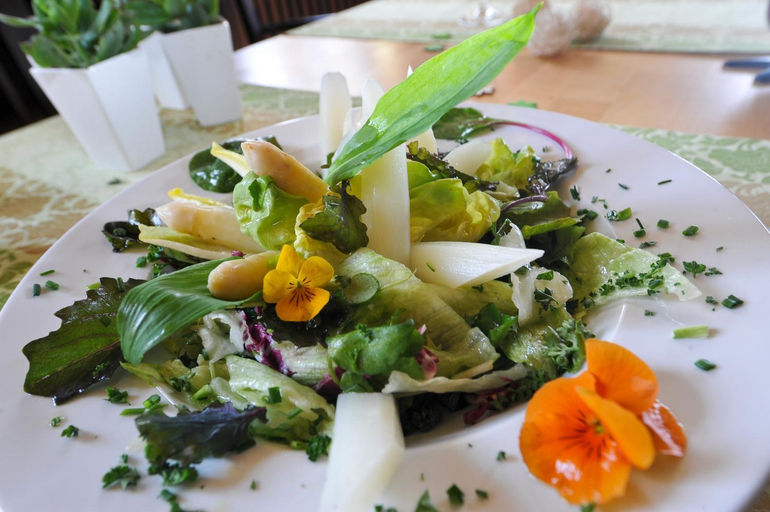Food & Drinks 5, Steinbergs Wildewiese NaturHotel, Hochsauerlandkreis
