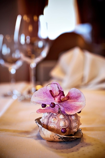 Food & Drinks 7