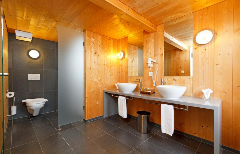 Bathroom 4, Hirschen Wildhaus, Toggenburg