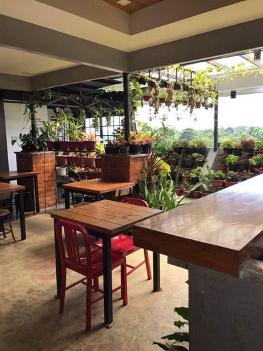 Food & Drinks 5, Aliria Bed and Breakfast, Tagbilaran City